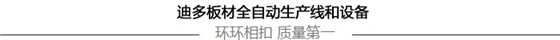 公司板材全自動生產線和設備